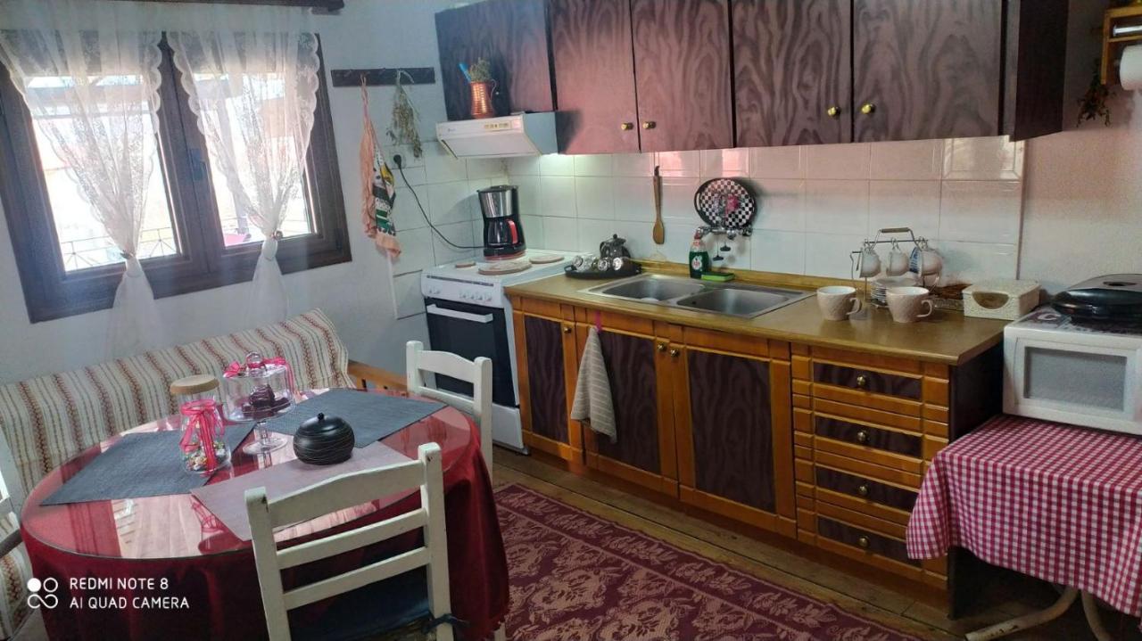Elena'S Villa Chrysomiléa エクステリア 写真