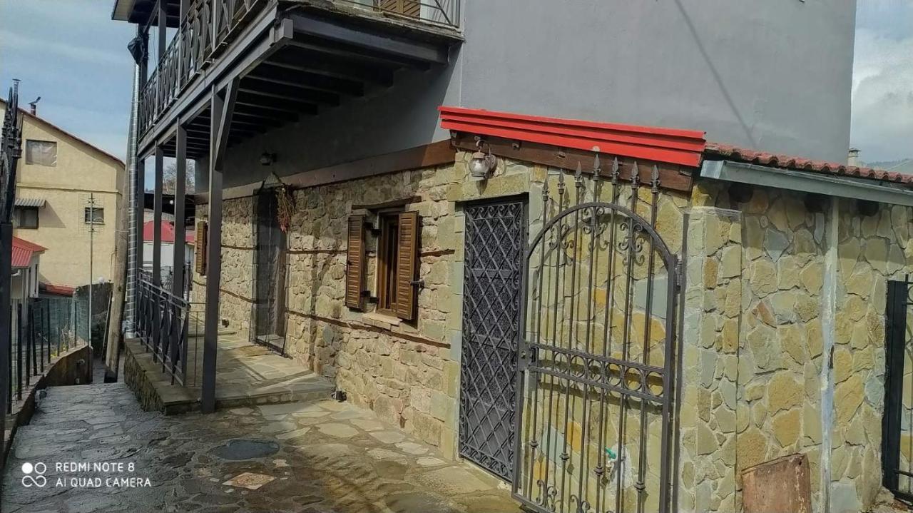 Elena'S Villa Chrysomiléa エクステリア 写真