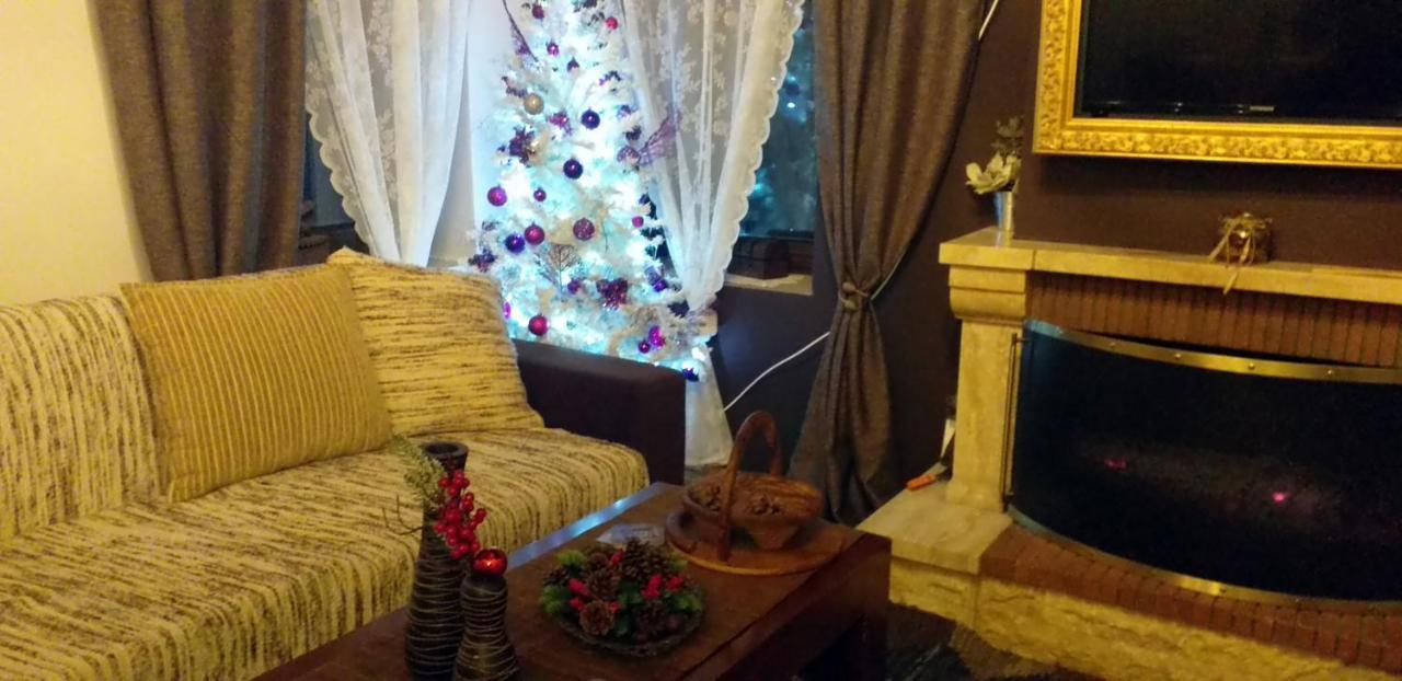 Elena'S Villa Chrysomiléa エクステリア 写真